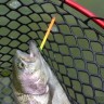 Iron Stick 2,8g 376